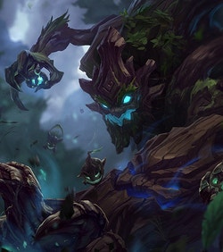 Maokai